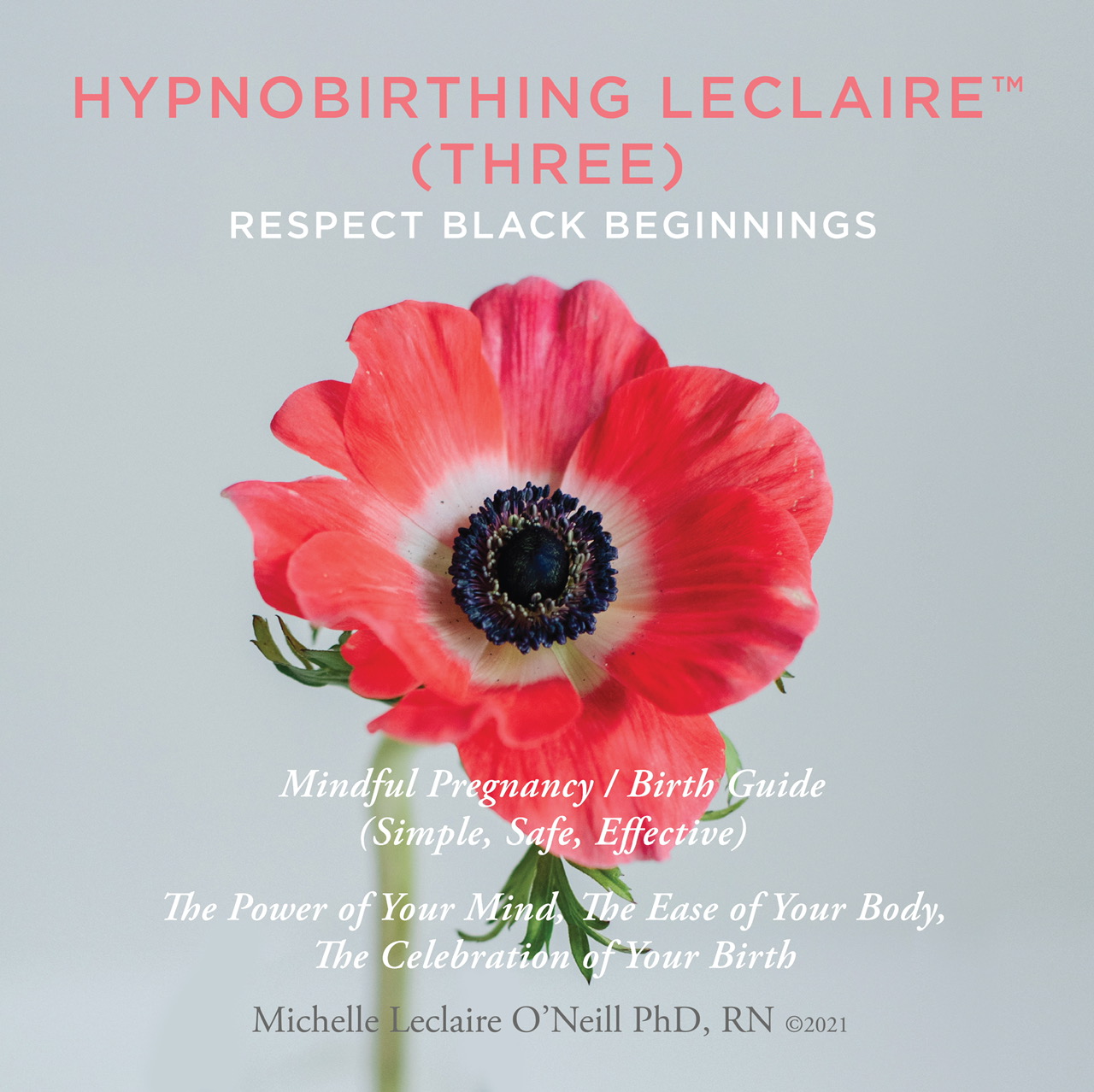 Hypnobirthing Leclaire™ Respect Black Beginnings (Three)